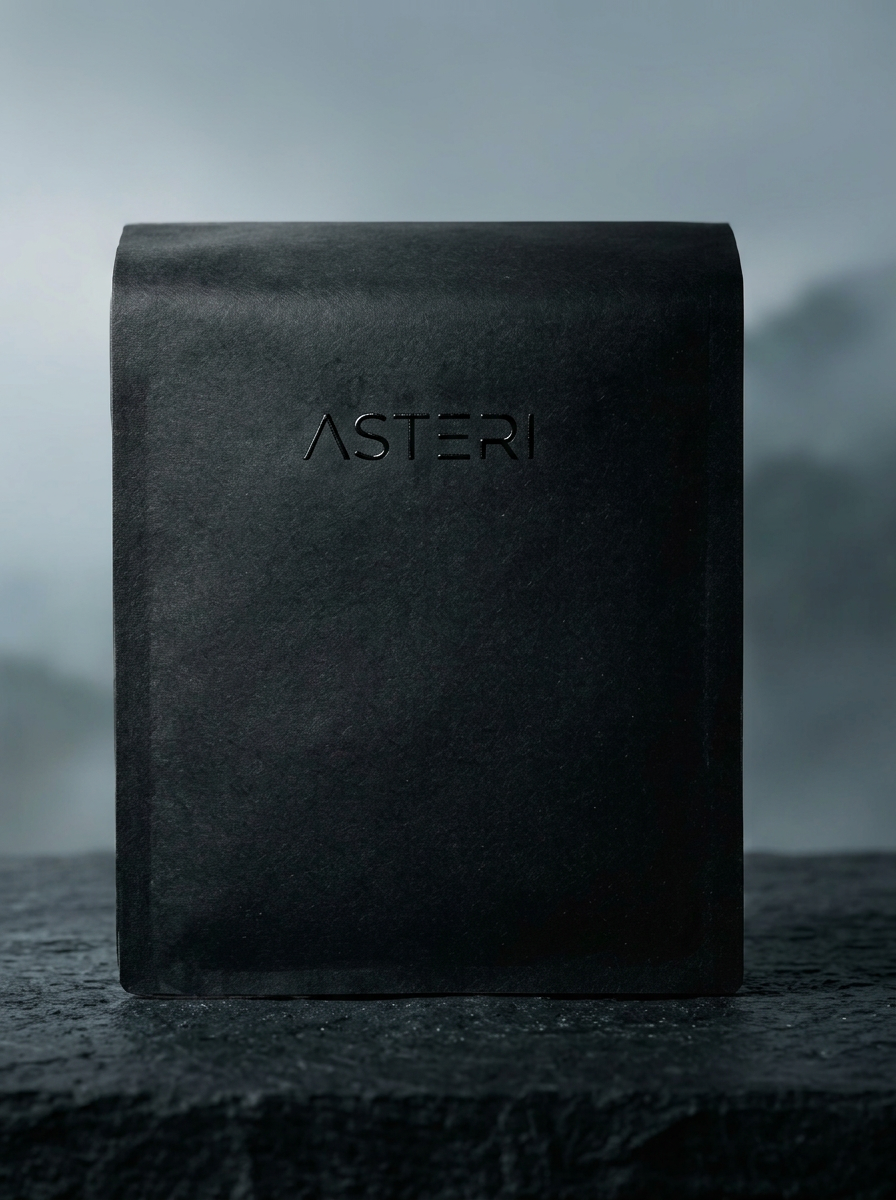 Asteri coffee bag in misted mountain light