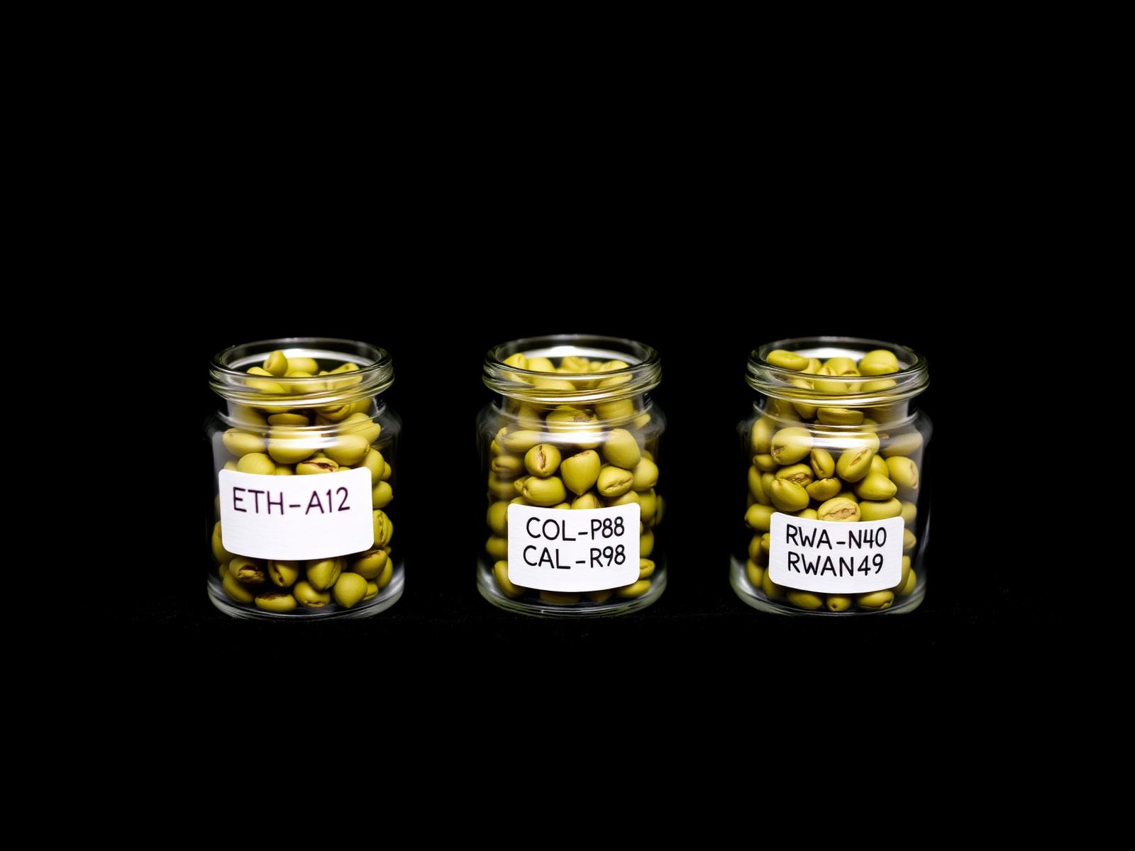 Three sealed sample jars of green beans on black velvet tray labelled with origin codes
